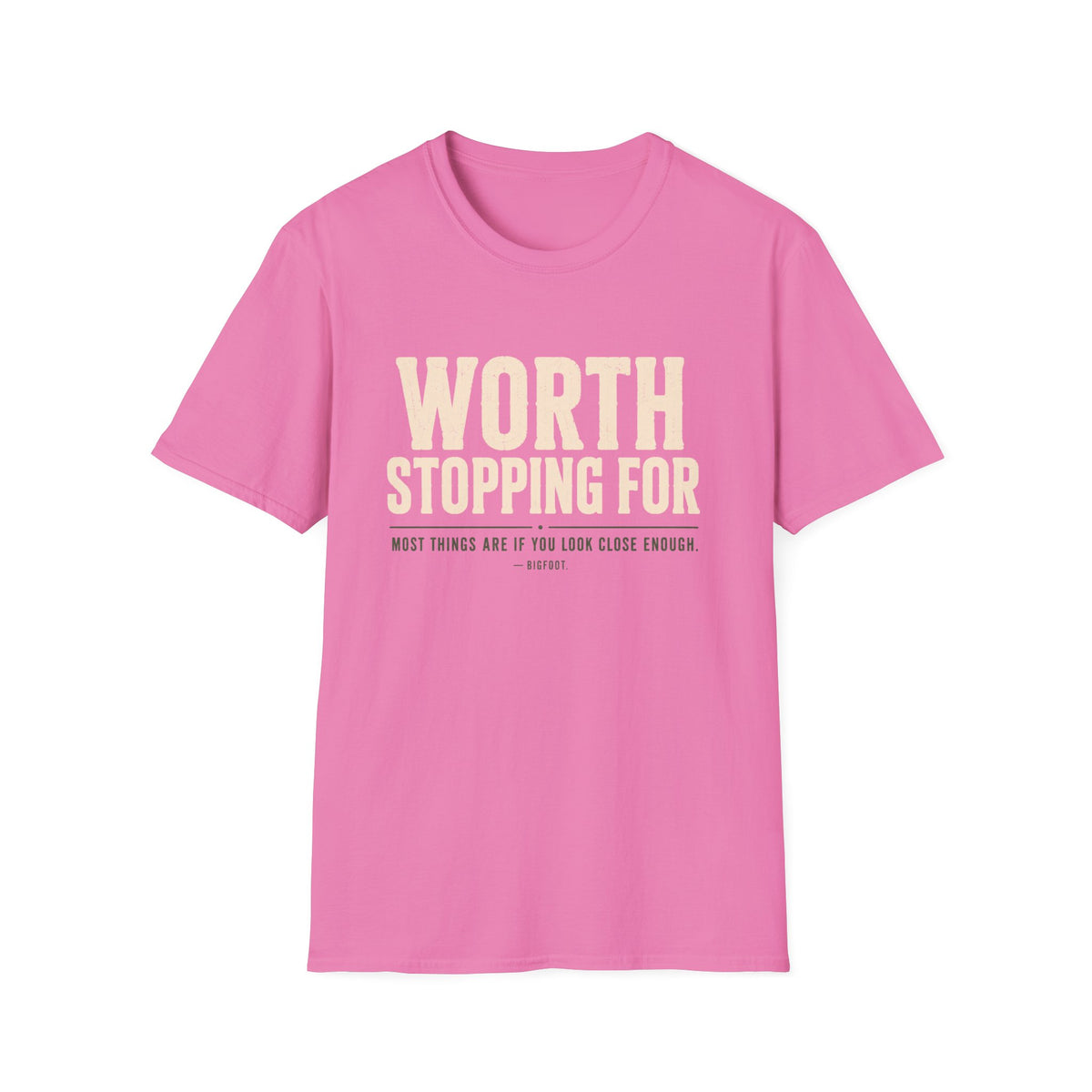 Worth Stopping For T-Shirt