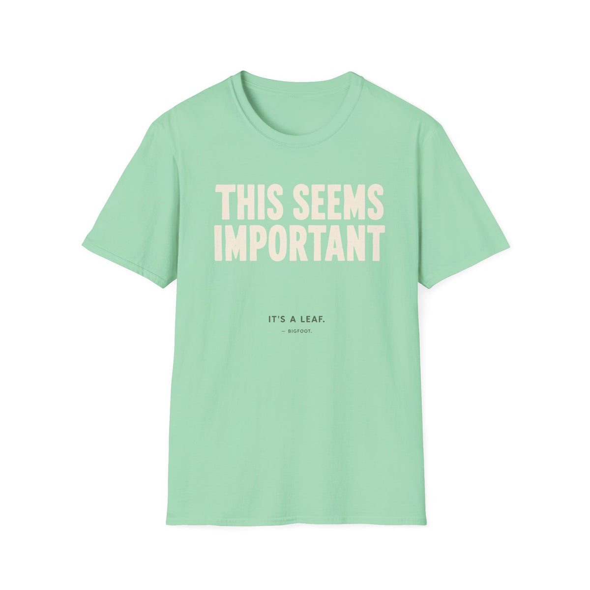 This Seems Important T-Shirt