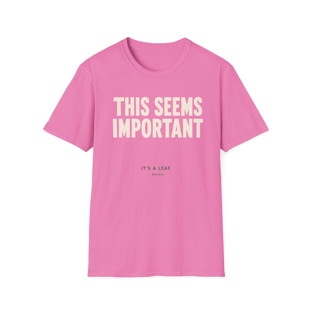 This Seems Important T-Shirt