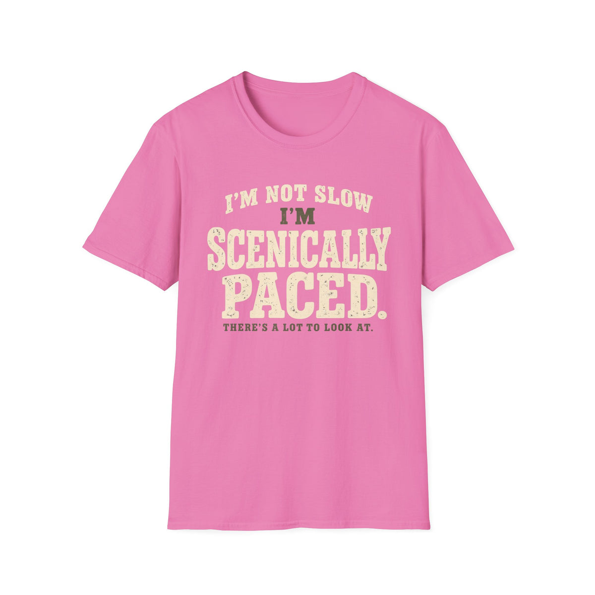 Scenically Paced T-Shirt