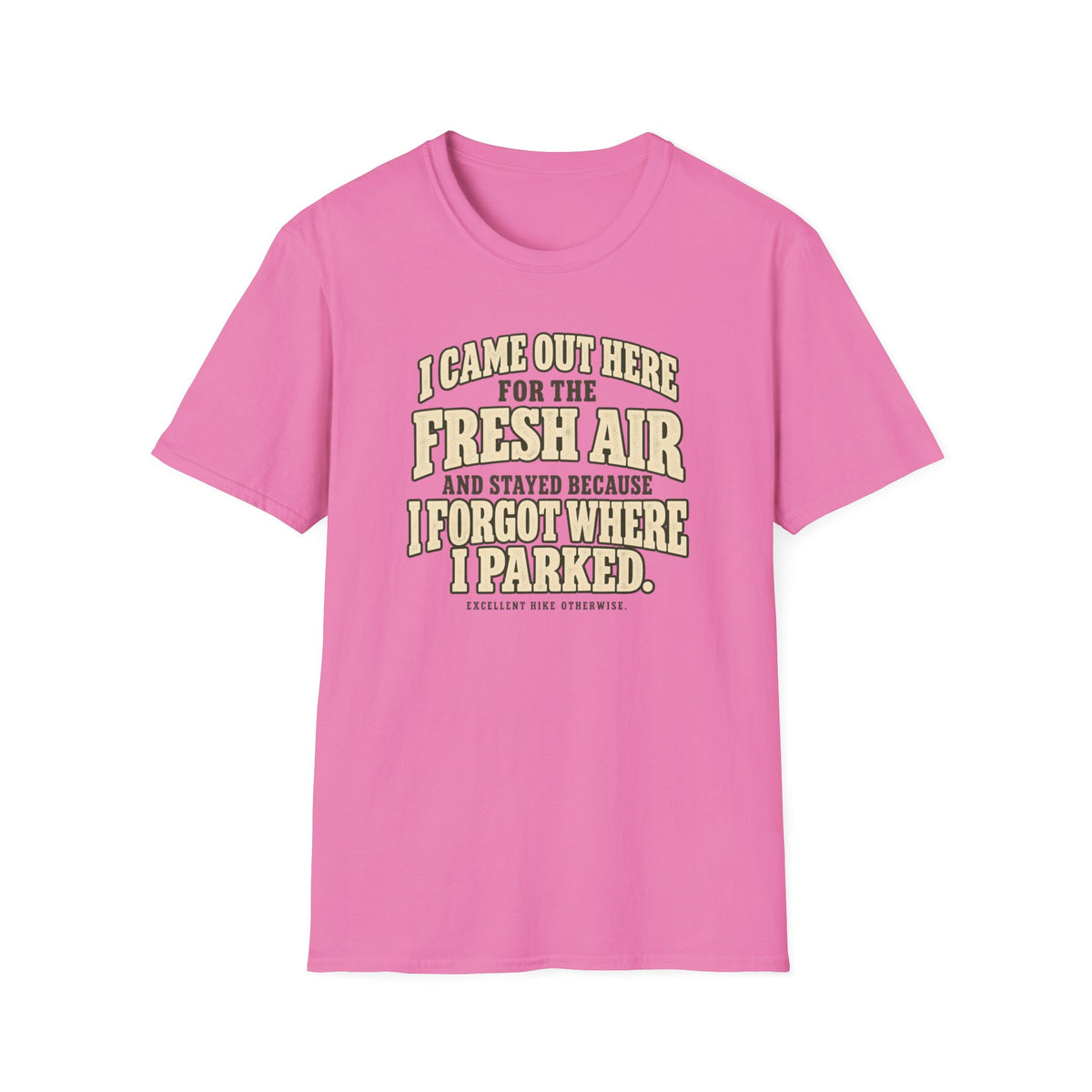 I Came And Stayed T-Shirt